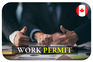 Maple Link Immigration Services Inc.